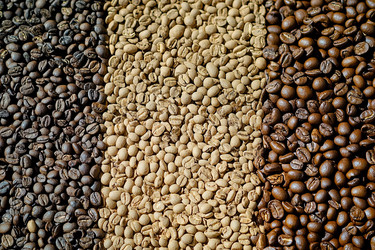 Similar image 22220970