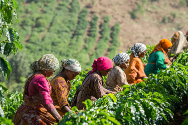 Similar image 22221072