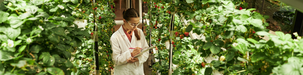 Similar image 22219075