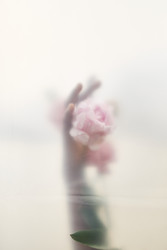 Similar image 22218732