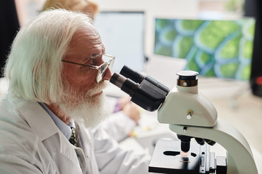 Similar image 22213017