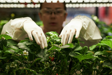 Similar image 22219130