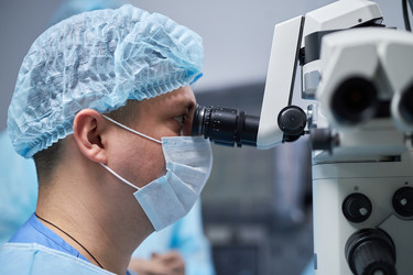 Similar image 22212554