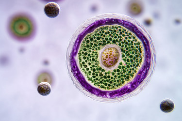 Similar image 22221471