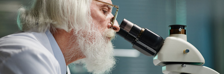 Similar image 22213016