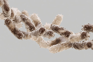 Similar image 22221573