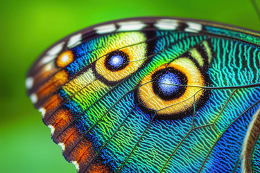 Similar image 22221613