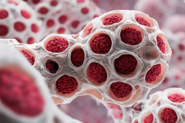 Similar image 22221598