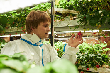 Similar image 22219070