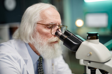 Similar image 22213036