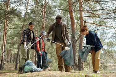 Similar image 22217656