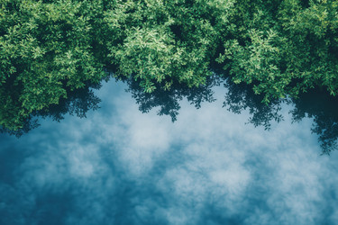 Similar image 22221292