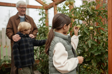 Similar image 22212862