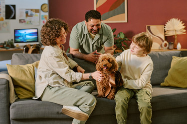 Similar image 22215940