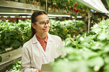 Similar image 22219052