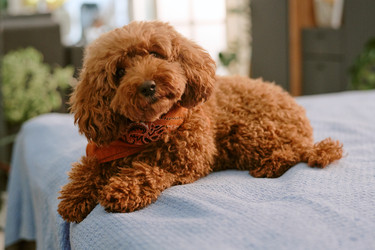 Similar image 22215968