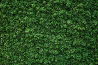 Similar image 22217884