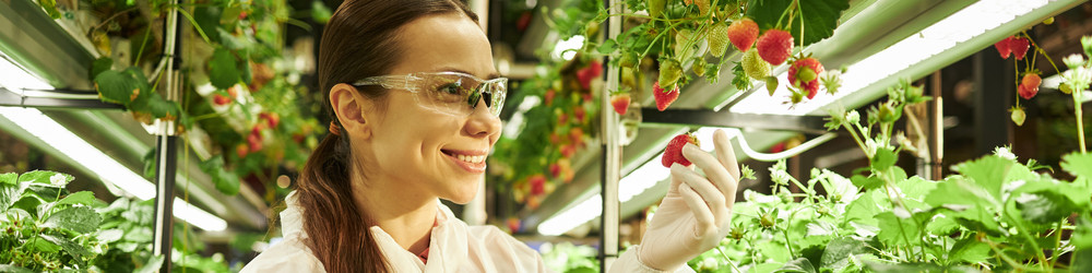 Similar image 22219073