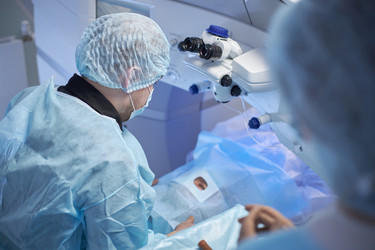 Similar image 22212504