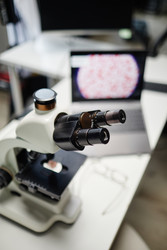 Similar image 22213027