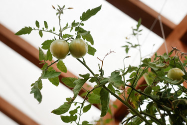 Similar image 22212789