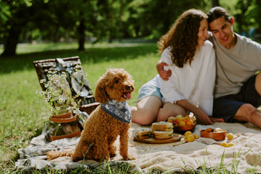 Similar image 22216655