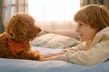 Similar image 22215963