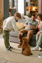 Similar image 22215984