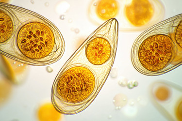 Similar image 22221494