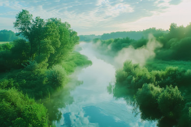 Similar image 22221288