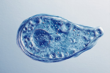 Similar image 22221560