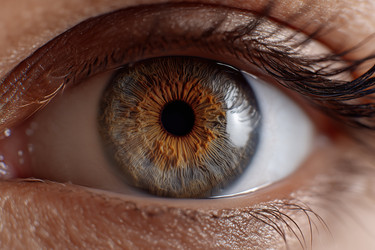 Similar image 22221589