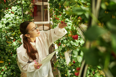 Similar image 22218998