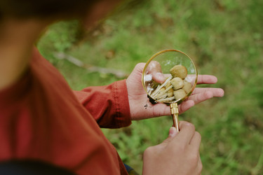 Similar image 22216961