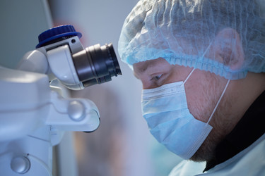 Similar image 22212512