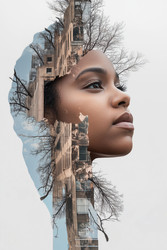 Similar image 22221640