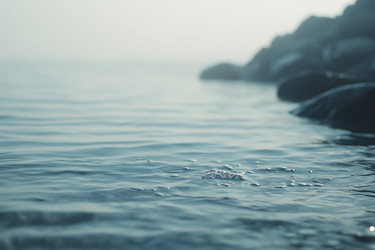 Similar image 22221258