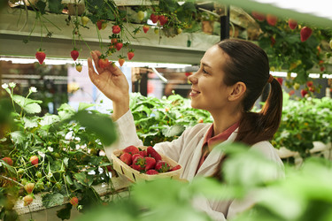 Similar image 22219028