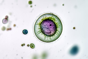 Similar image 22221476