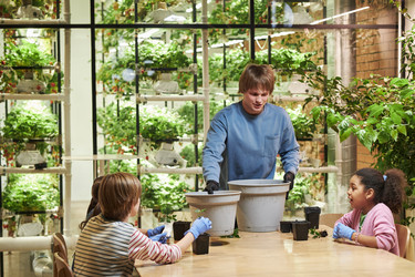 Similar image 22219029