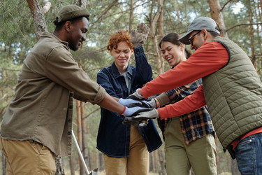 Similar image 22217639