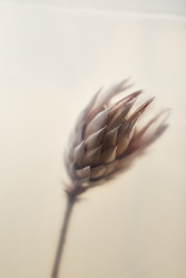 Similar image 22218722