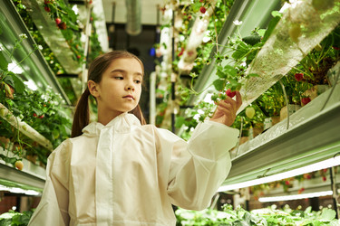 Similar image 22219084