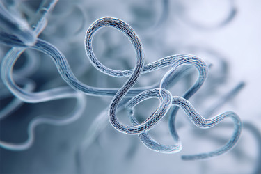 Similar image 22221551