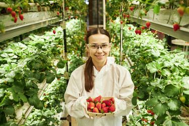 Similar image 22219002