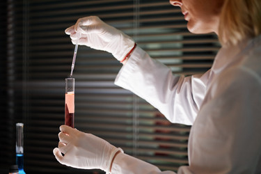 Similar image 22212990