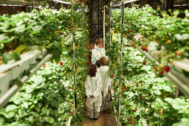 Similar image 22219072