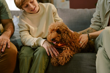 Similar image 22215951