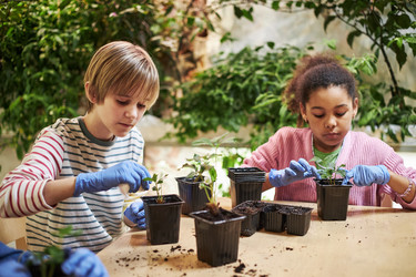 Similar image 22219045