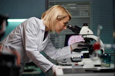 Similar image 22212989